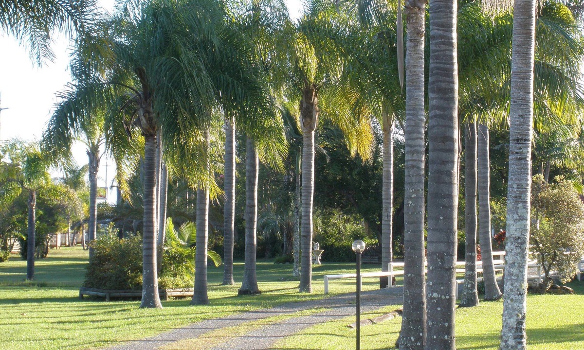 Coopernook Hotel | Palms Oasis Motel