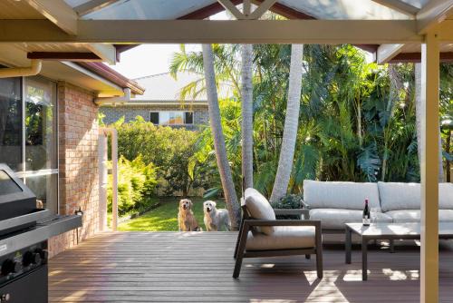 Corlette House | Pawprints