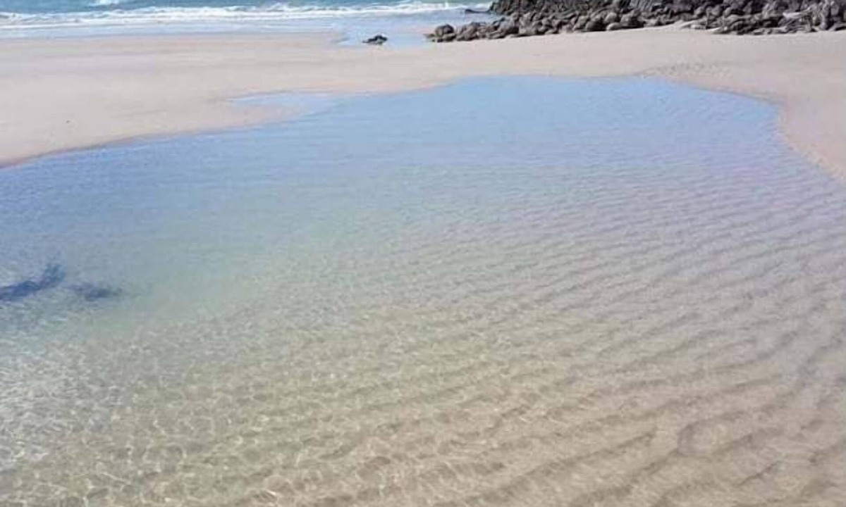 Elliott Heads House | Pet Friendly Coastal Stay Near The Beach.