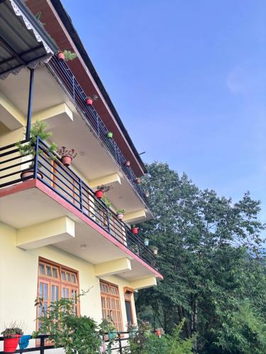 Geyzing House | Pine Valley View Homestay