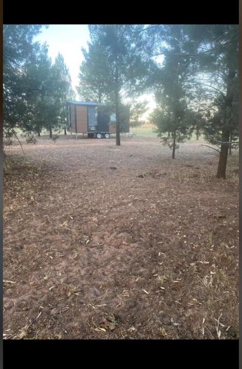 Bohena Creek House | plain Bush