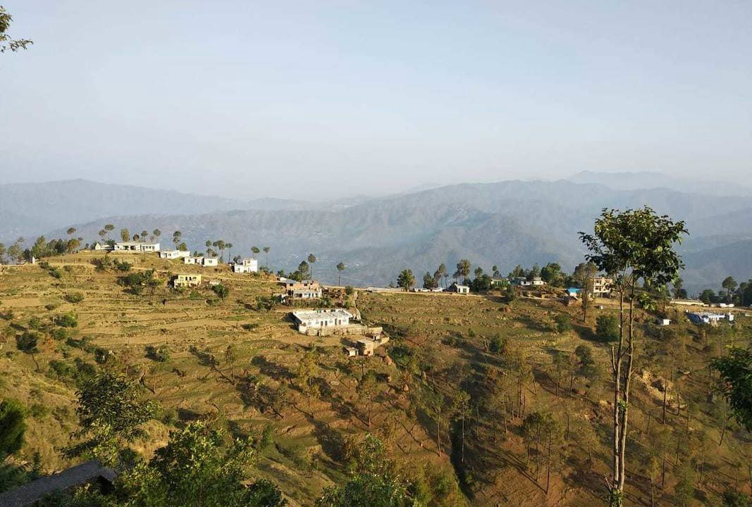 Almora Resort | Private room ∙ 3 guests