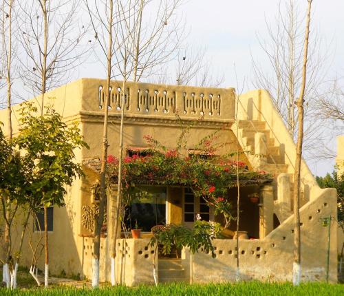 Kottli Sainian House | Punjab Village Farm near Amritsar