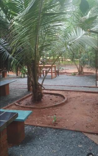 Bommayapalayam House | Purity Guest House