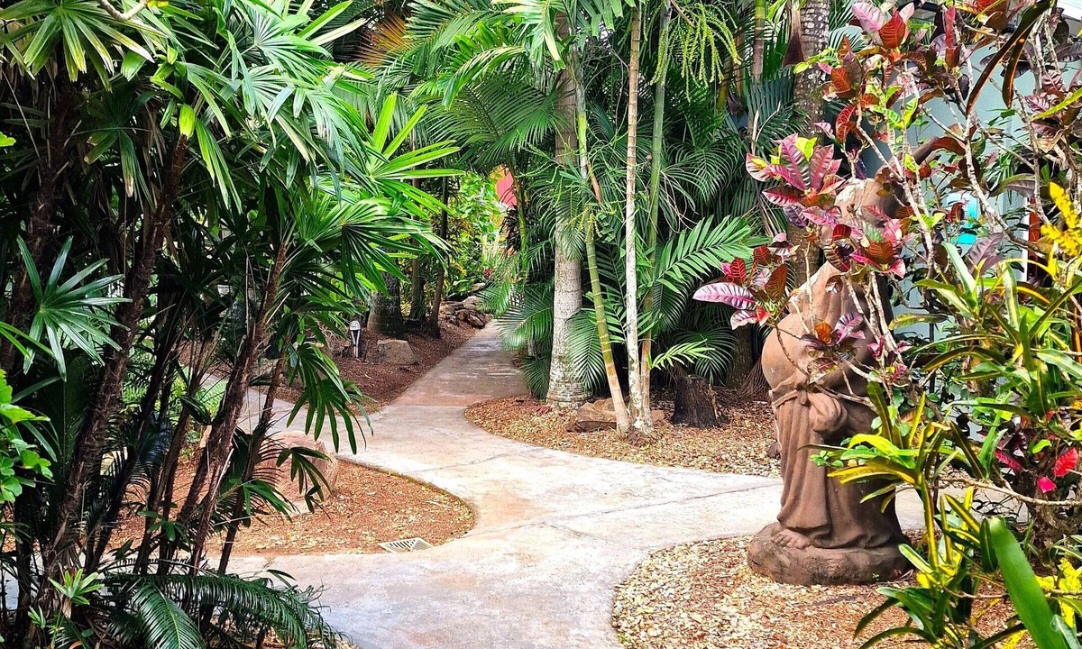 Mission Beach Hotel | Rainforest Motel