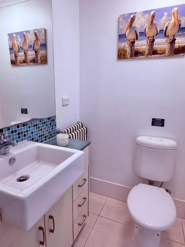 Port Douglas Apartment | REEFSIDE Studio Spa Apartment