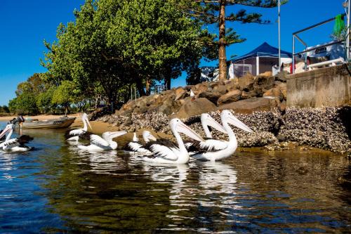 Brunswick Heads Resort | Reflections Massy Greene - Holiday Park