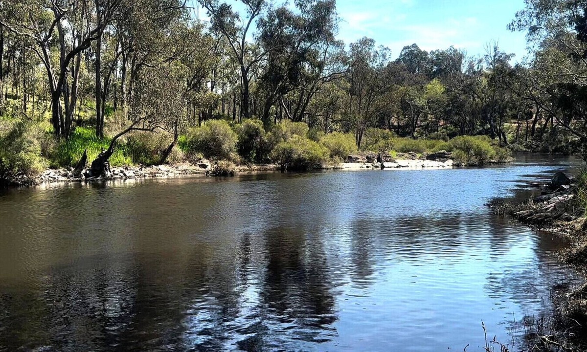 Bridgetown House | River Valley Retreat – Nature & Riverfront Stay