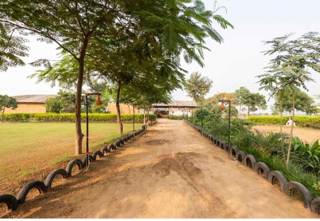 Palwal House | Rupani Dhani Adventure