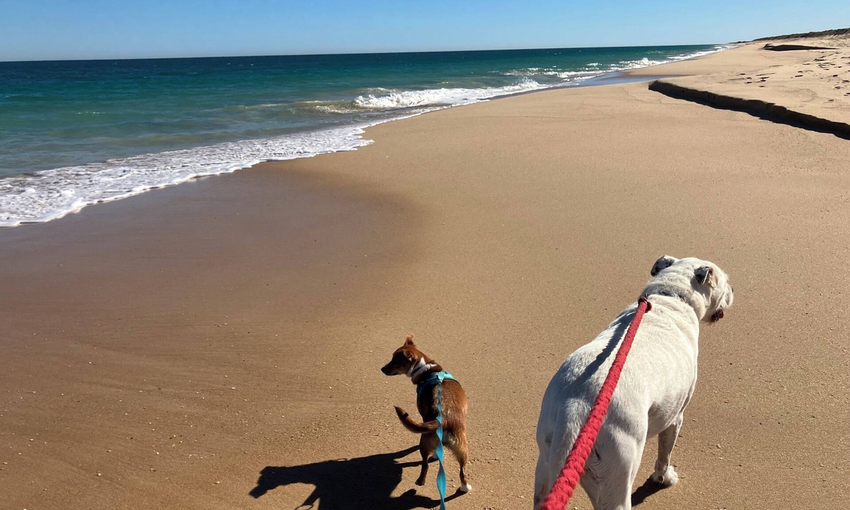 Preston Beach House | 'Seas the Day' Preston Beach | Pet Friendly | Sleeps 6 | 500m to the beach!