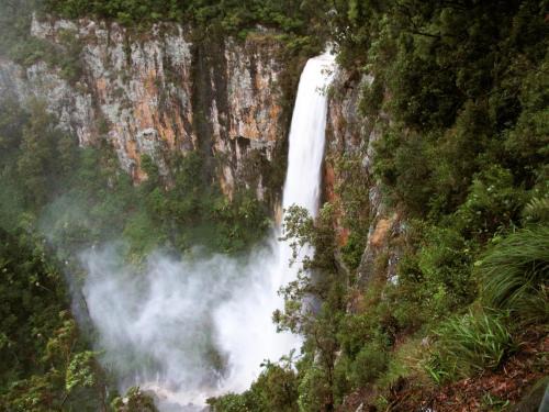 Springbrook Cabin | Springbrook Lyrebird Retreat