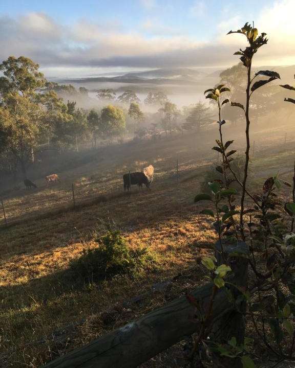 Rydal Bed & Breakfast | Springmead B&B