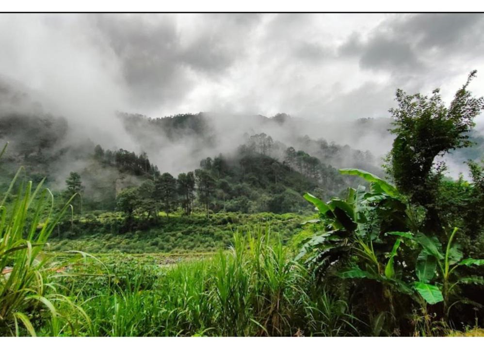 Kharsali House | Sravasti Inn Homestay, Uttarkashi