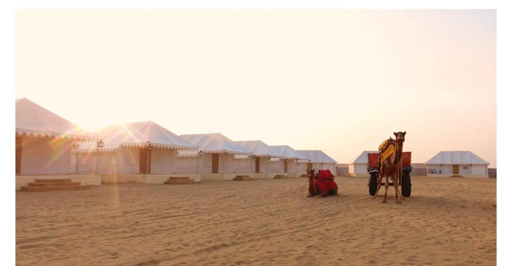 Amar Sagar Pol Other | Summer Desert Camp