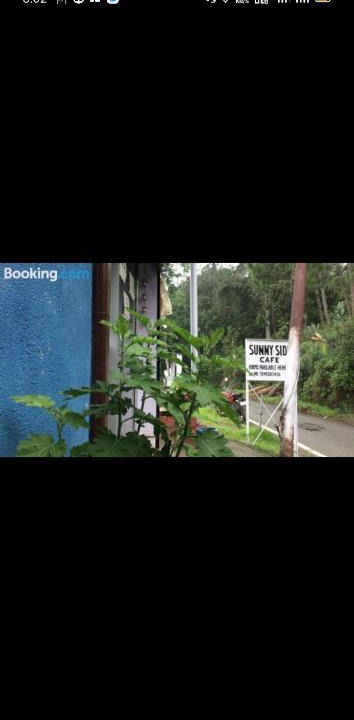 Almora House | Sunny-side cottage&cafe