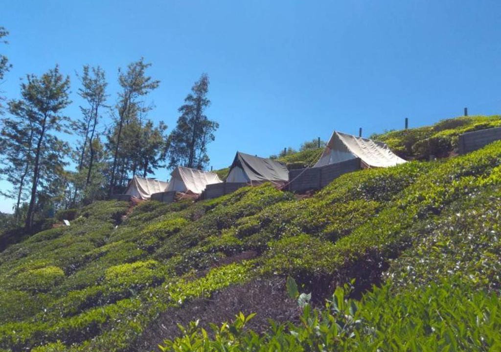 Ithalar Bed & Breakfast | Swiss Tents in Ooty, Tn