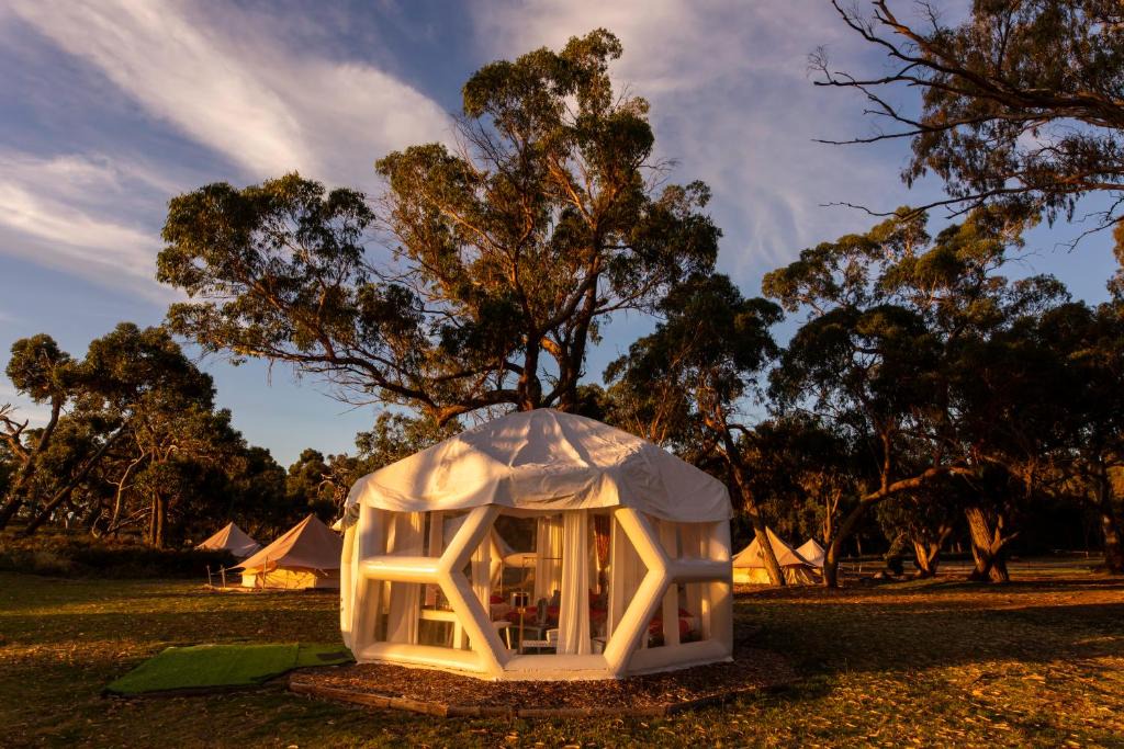 Comaum Other | Taj Mahal upgraded Hex bubble