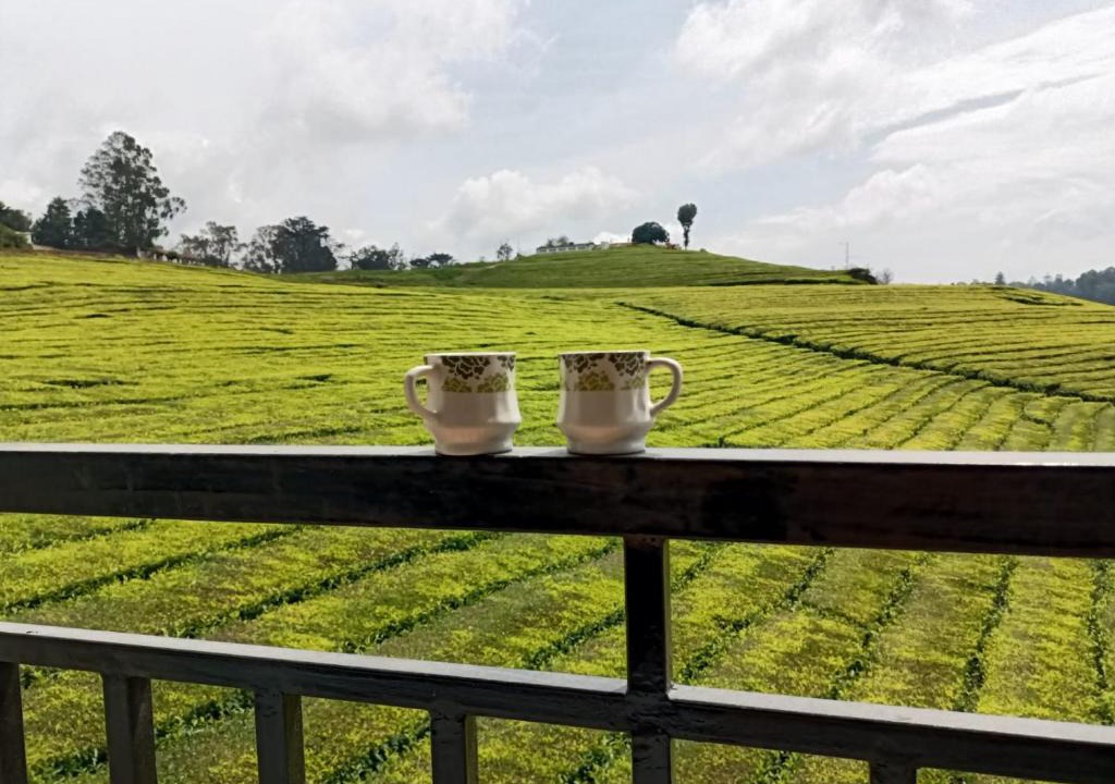 West Mere House | Tea Estate view stay