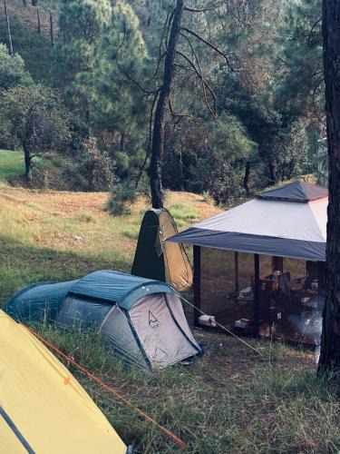 Mukteshwar Other | Tent-It India