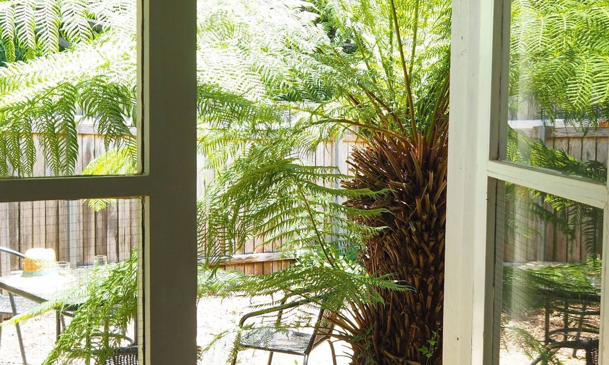 Stanley House | The Old Stanley Sun - eclectic and peaceful