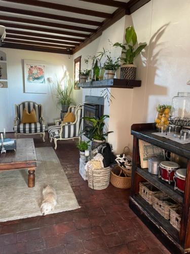 Greta Hotel | The Table Guest House