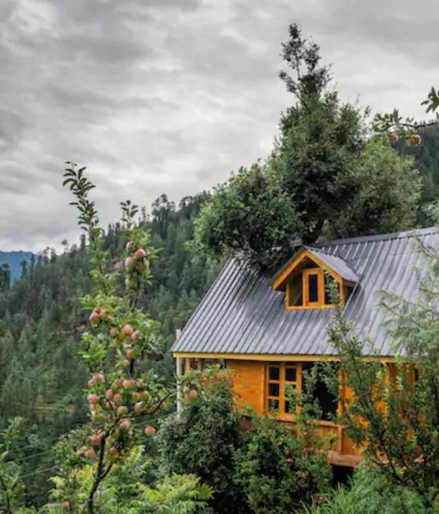 Banjar Ski Chalet | THE TREE HOUSE JIBHI ,Swastika Aashiyana