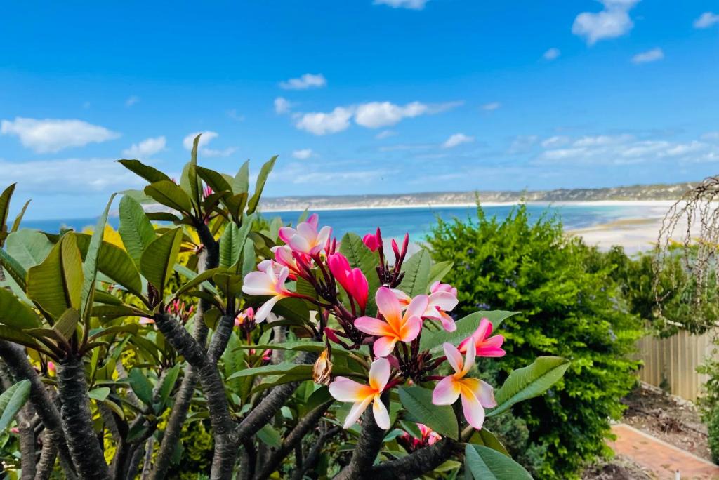 Emu Bay House | The Whitehouse