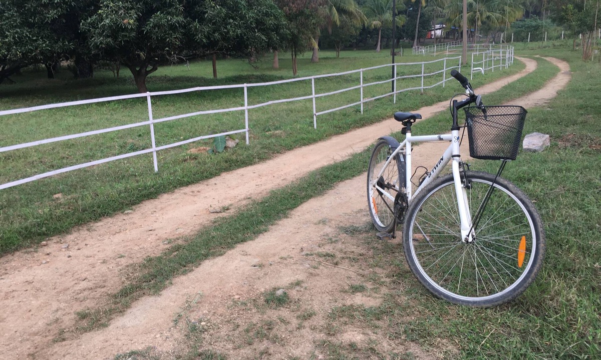 Gudiyatham Other | Tranquility and fresh air amidst greenery