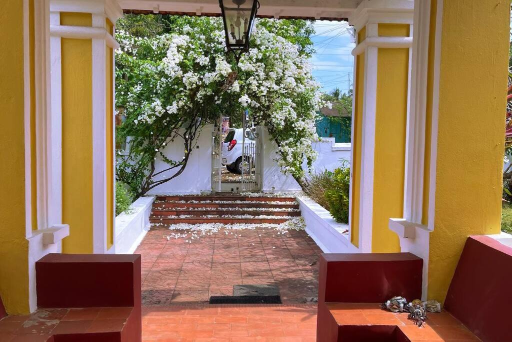 Aldona Villa | Turmeric Luxury, Aldona