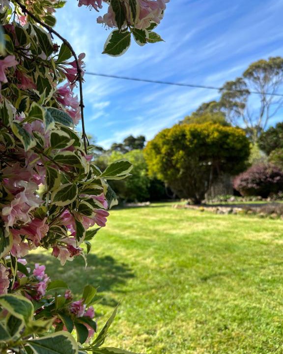Lymwood House | Two Twenty Two Farm Stay