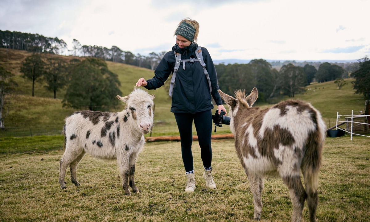 Jenolan House | Ultimate farmstay experience - 5 minutes from Jenolan
