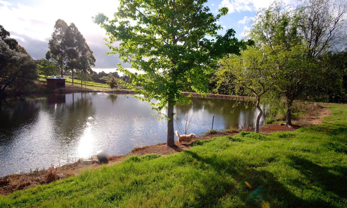 Henty Apartment | Vineyard Accomodation - Self Catering