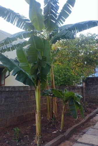 Kolhapur House | Visava budget friendly homestay