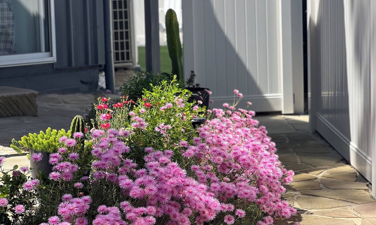 Anna Bay House | Walk to everything, Family getaway