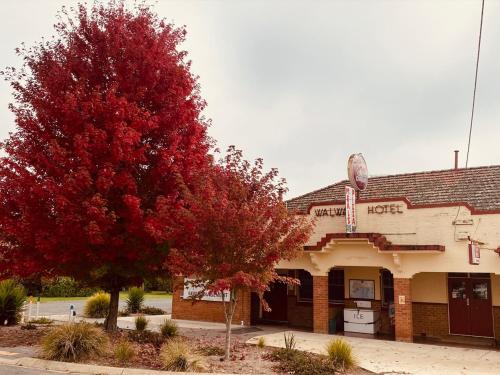 Walwa Hotel | Walwa Hotel
