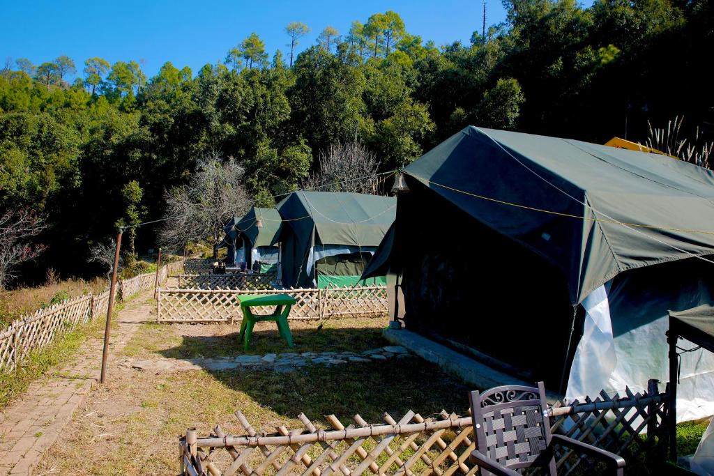Kaul Other | Wild Wishes Camp Mukteshwar - Nainital