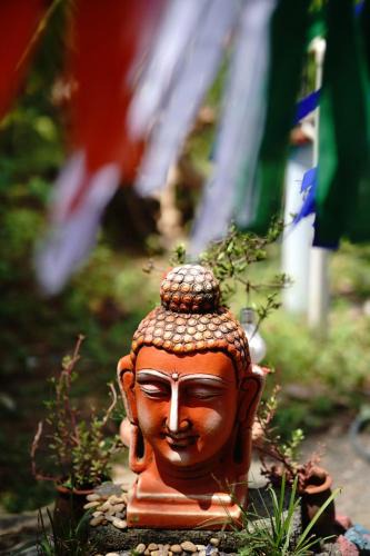 Auroville Hostel | WoodPacker Hostel Pondicherry