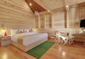 Adorable 1BHK Cottage in Nainital