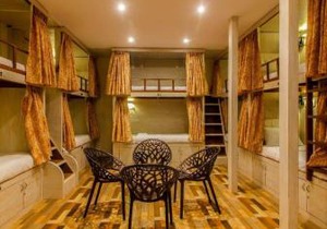 Blossom Dormitory For Male and Female