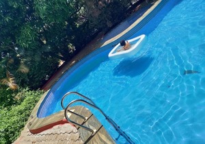 dolphinresort