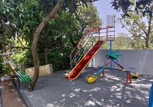 dolphinresort