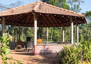 HomeStay away from the hustle bustle of the city in midst of nature at its best.