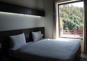 Just Naturals Wellness Resort Nainital