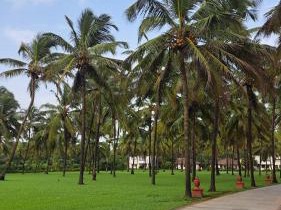 Novotel Goa Dona Sylvia Resort
