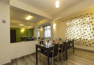 OYO 6890 Dilchen Residency