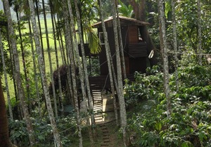 The Bliss Coorg