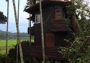 The Bliss Coorg