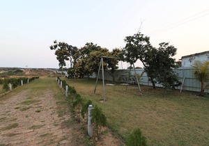 The Sea Horse Hotel