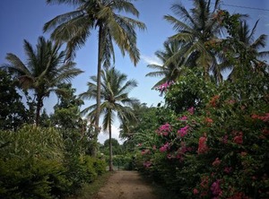 Green Acres | Masinagudi