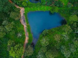 Magnolia Estates Resorts | Virarajendrapet